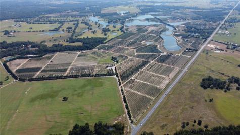 Lot 4 Hwy-19 Canton TX 75103