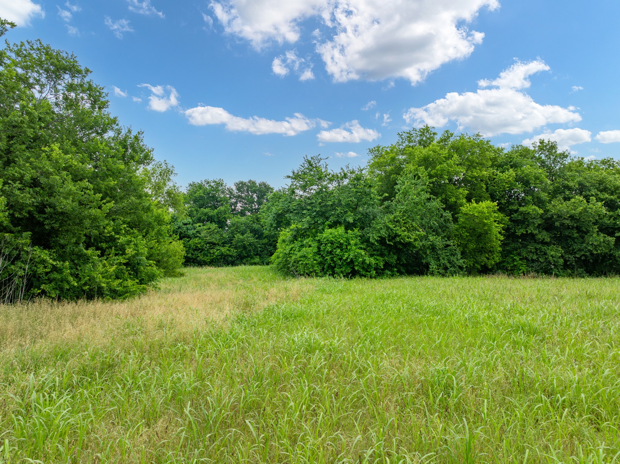 Tbd S Davis Street Hillsboro TX 76645