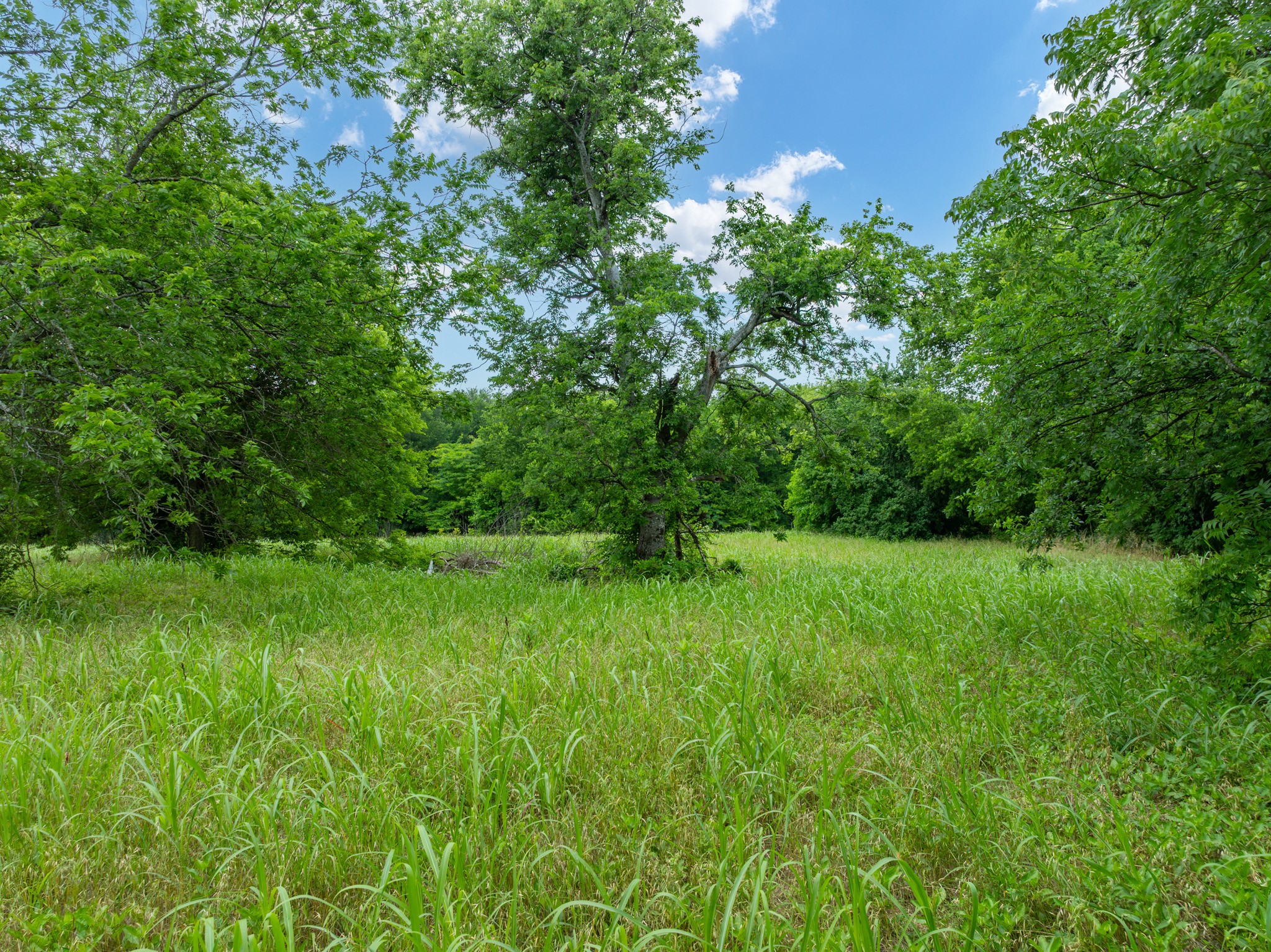 Tbd S Davis Street Hillsboro TX 76645