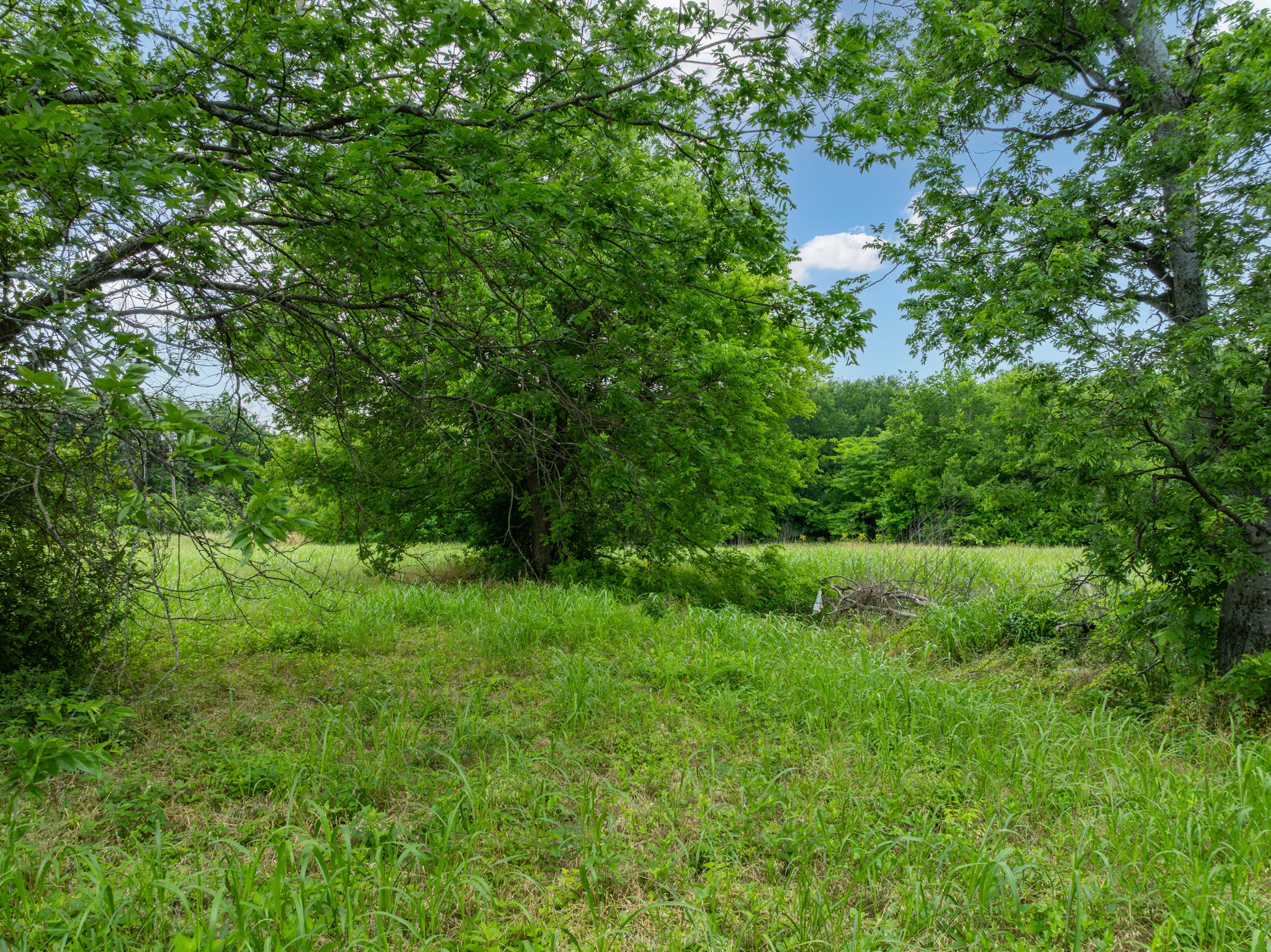 Tbd S Davis Street Hillsboro TX 76645
