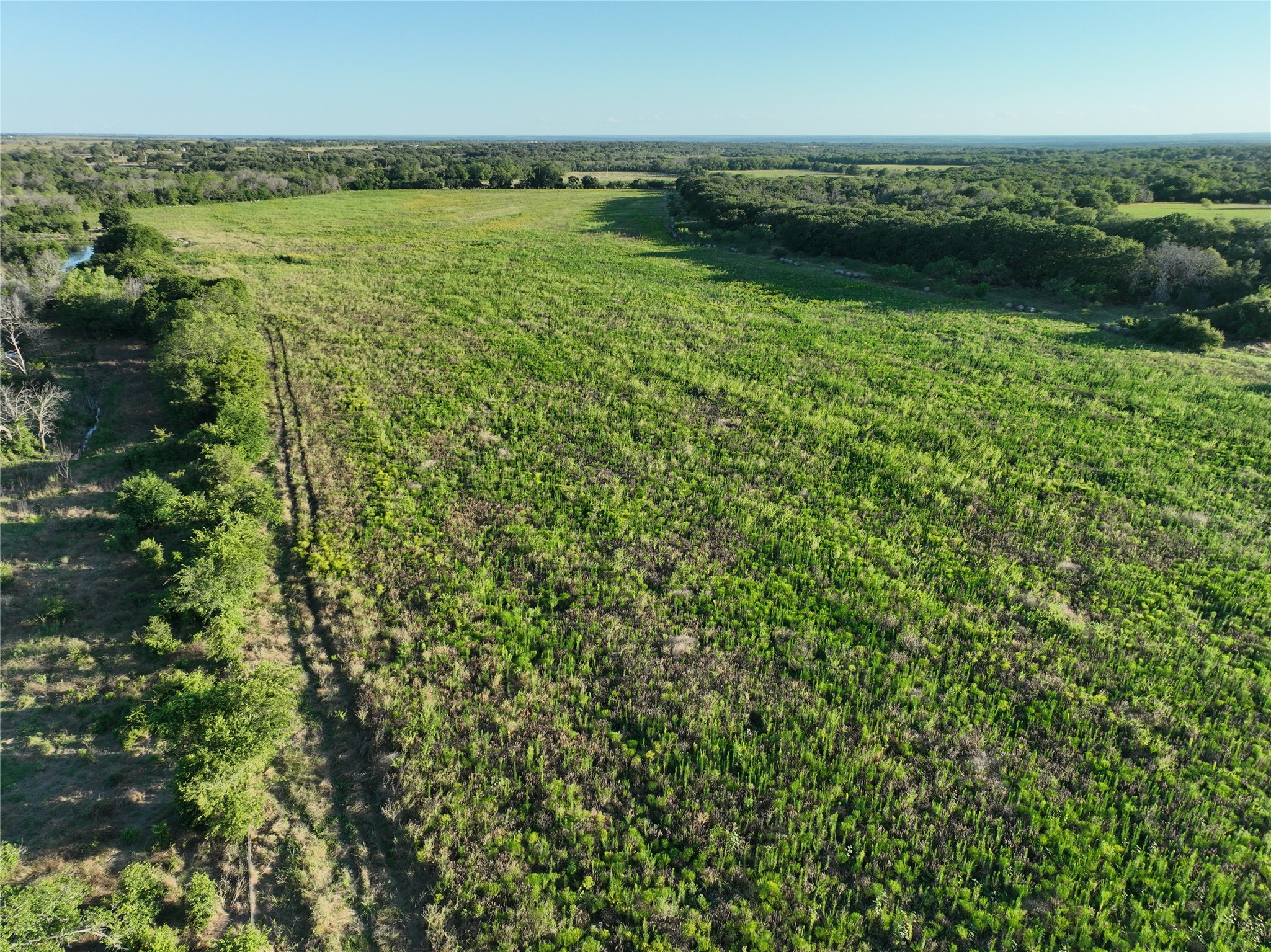 Tbd Cr 137 Carlton TX 76436
