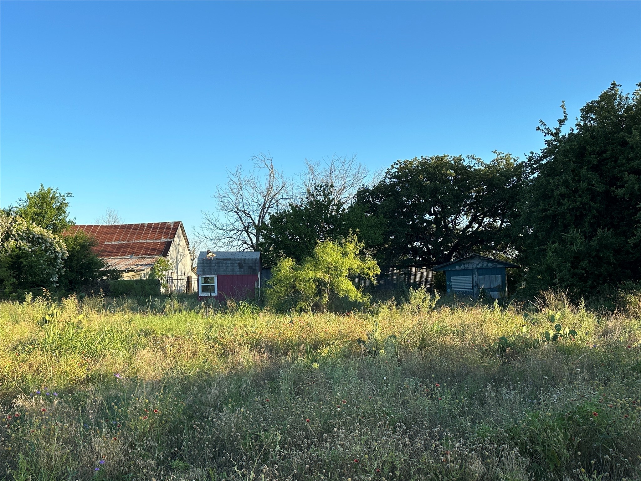 Tbd Cr 137 Carlton TX 76436