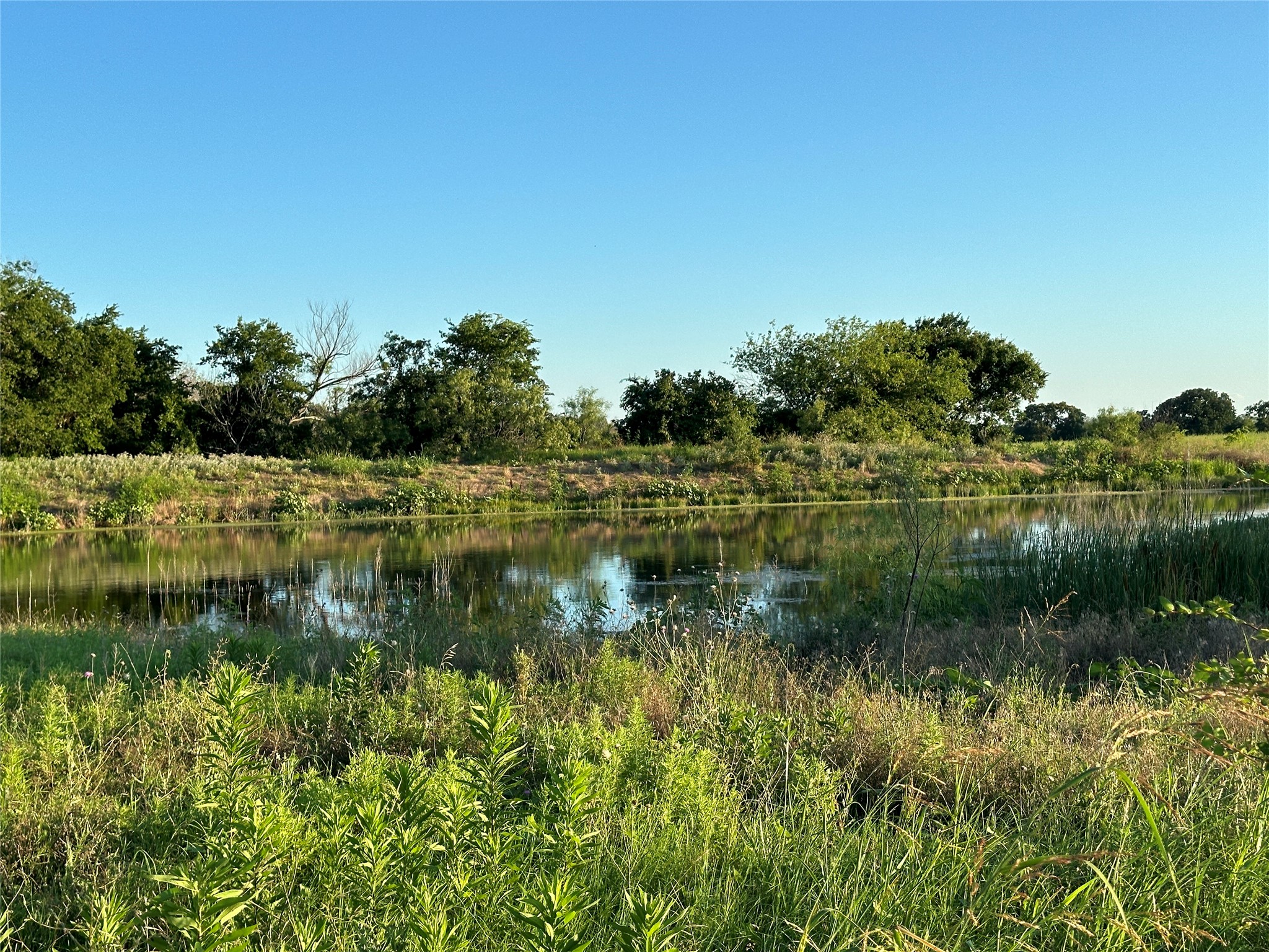 Tbd Cr 137 Carlton TX 76436