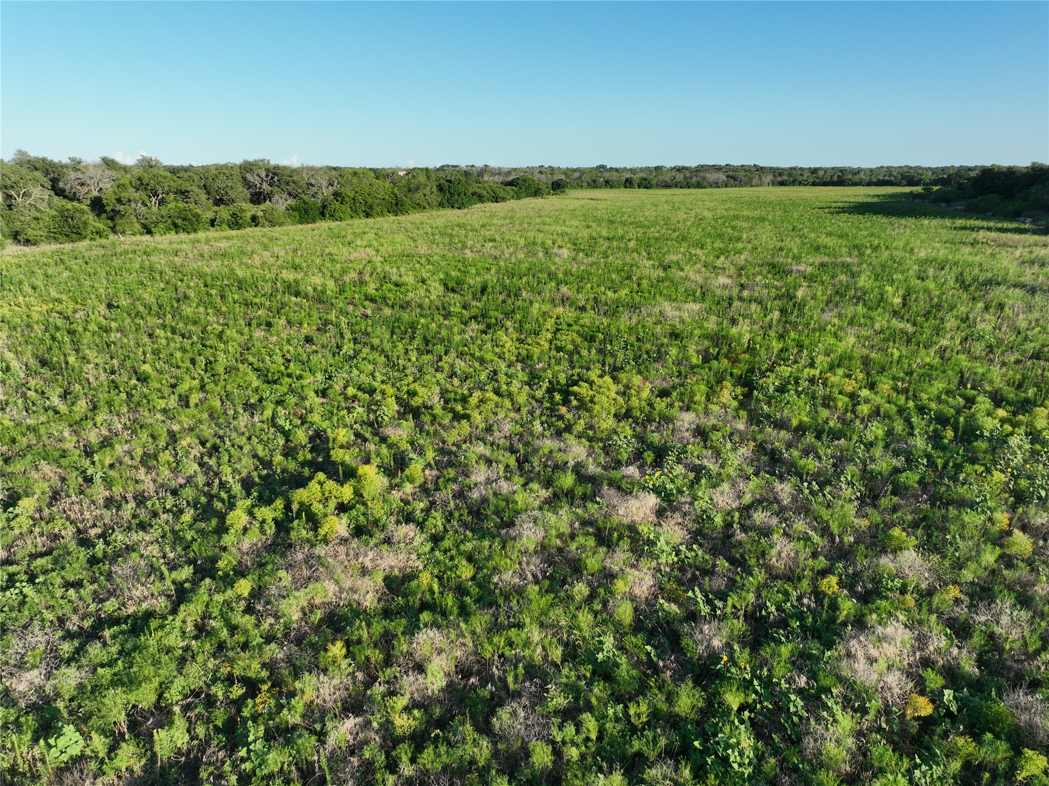 Tbd Cr 137 Carlton TX 76436