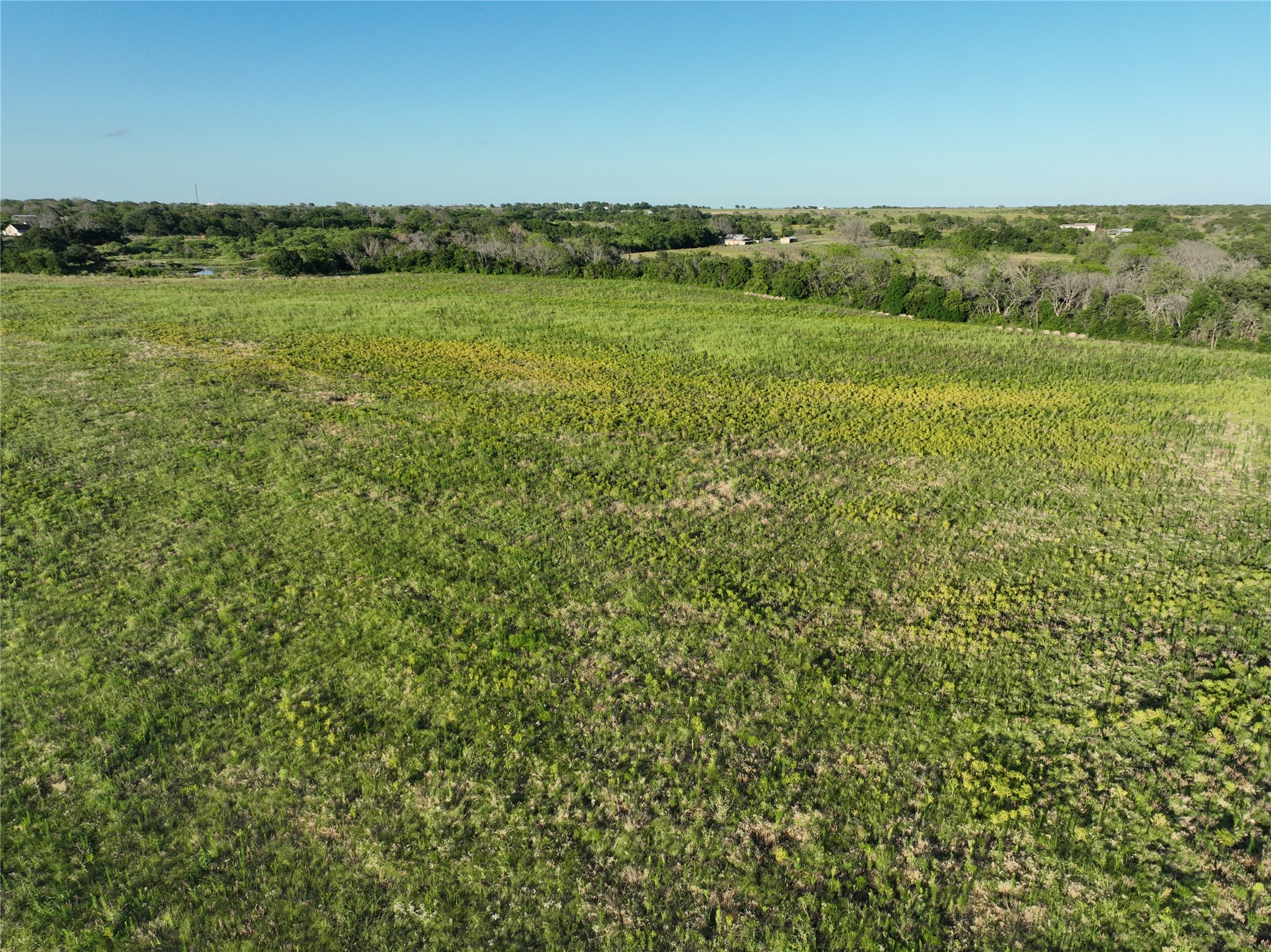 Tbd Cr 137 Carlton TX 76436