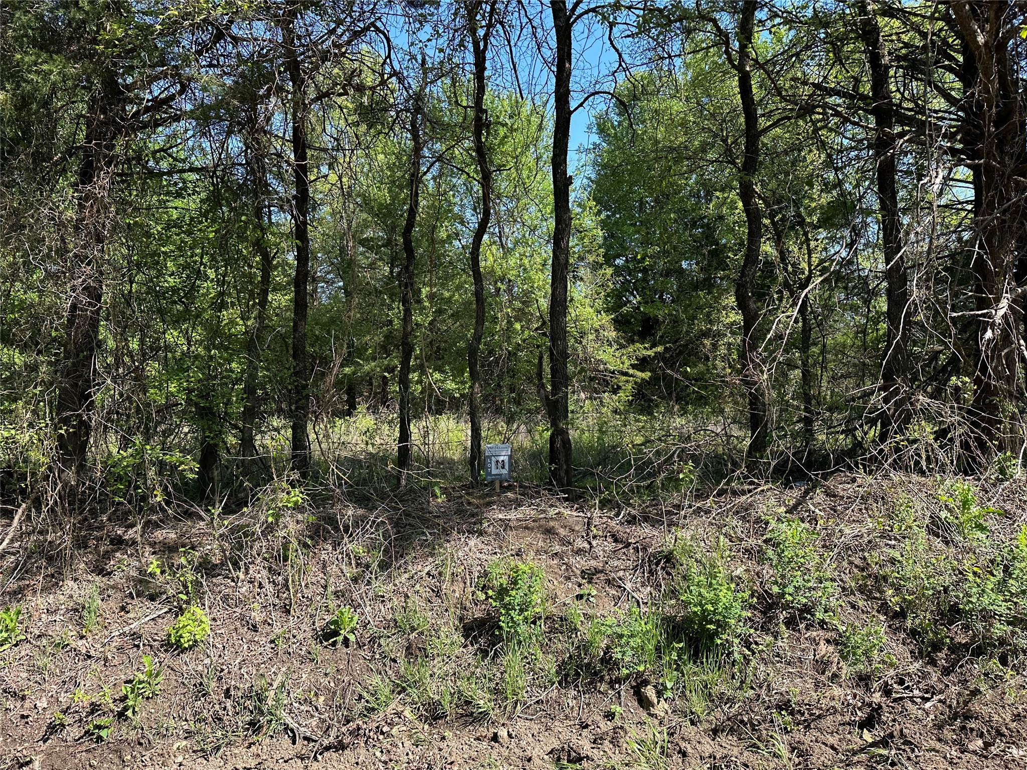 Tract 13 County Road 2951 Honey Grove TX 75446