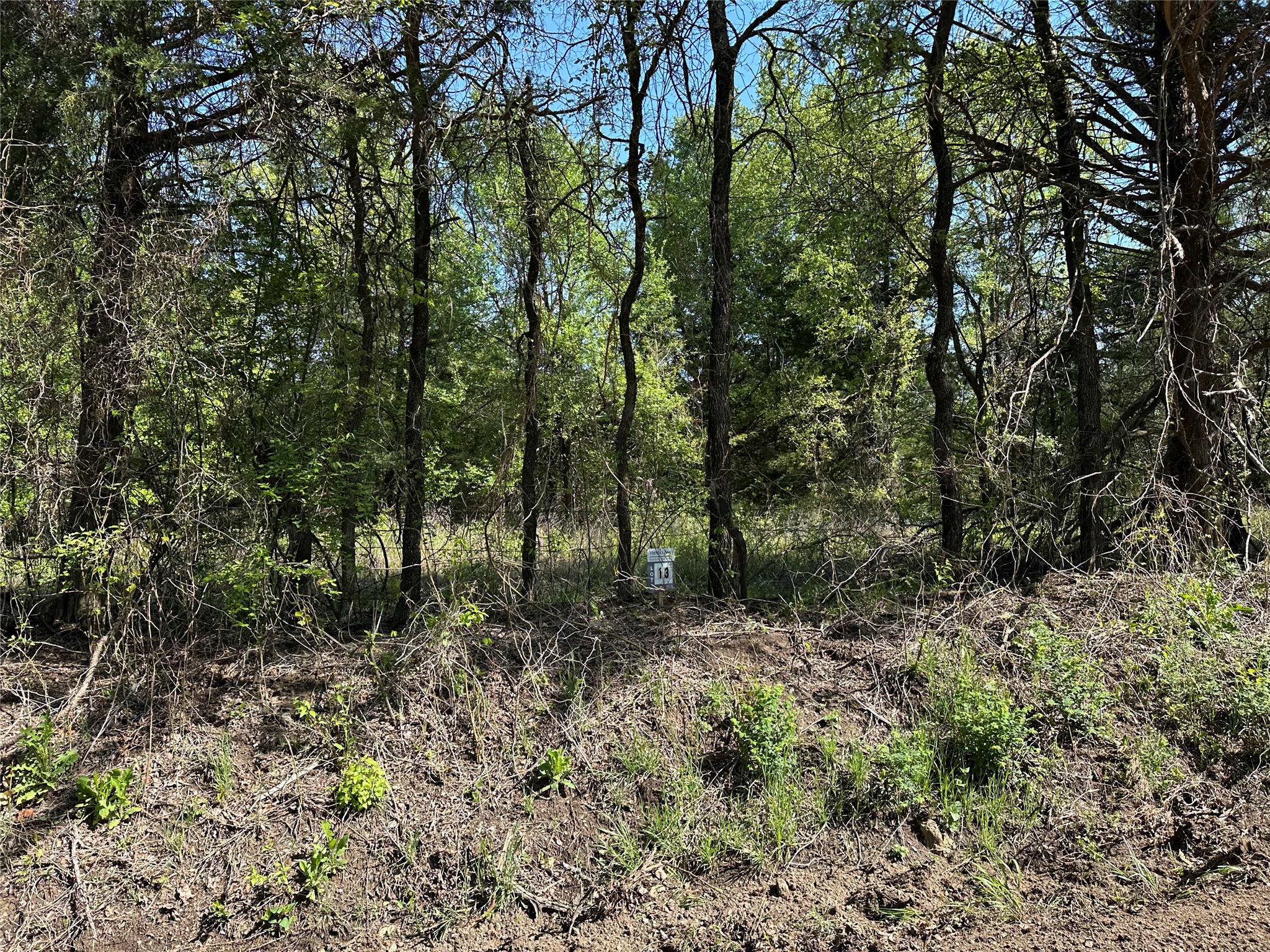 Tract 13 County Road 2951 Honey Grove TX 75446