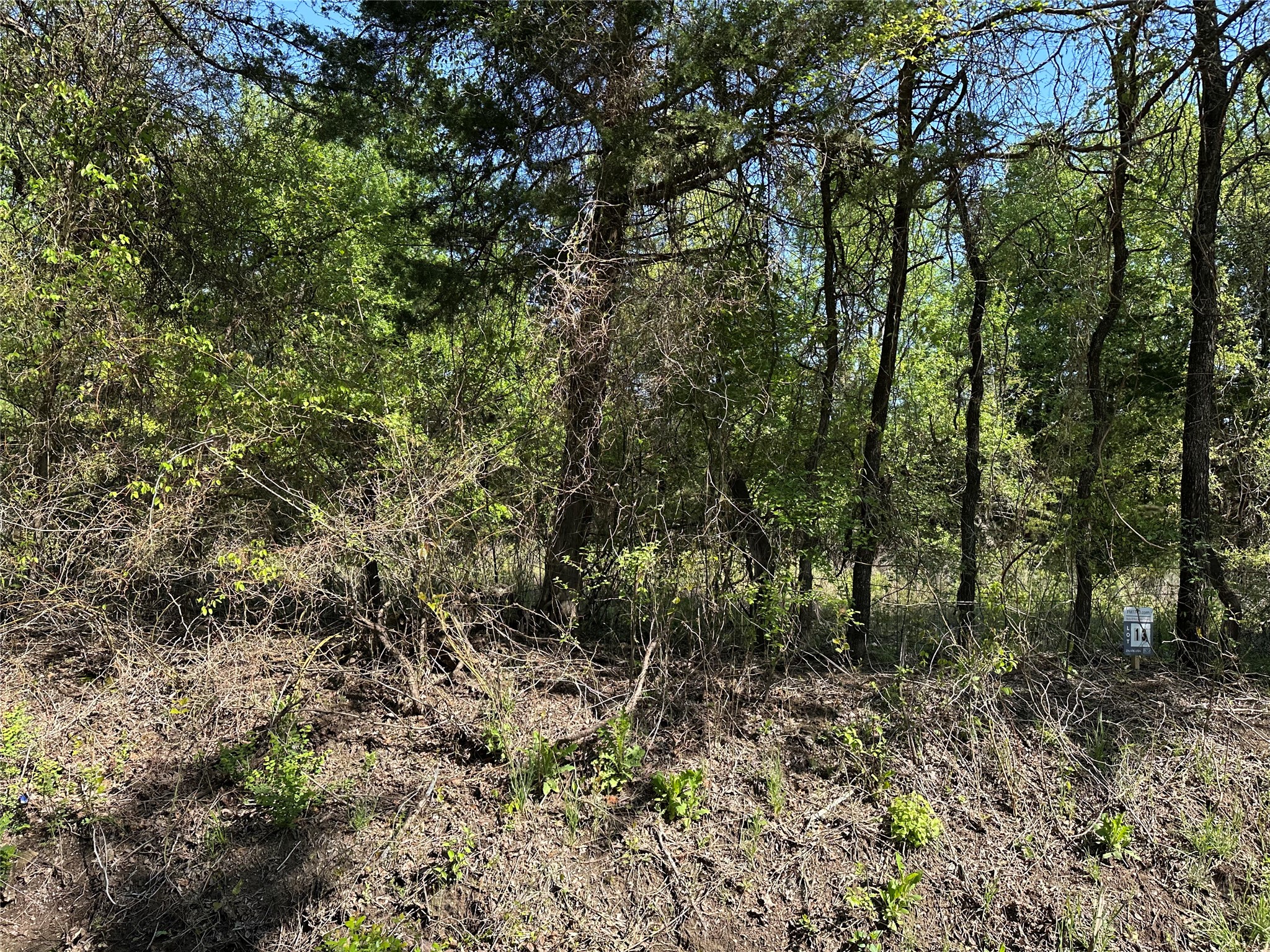 Tract 13 County Road 2951 Honey Grove TX 75446