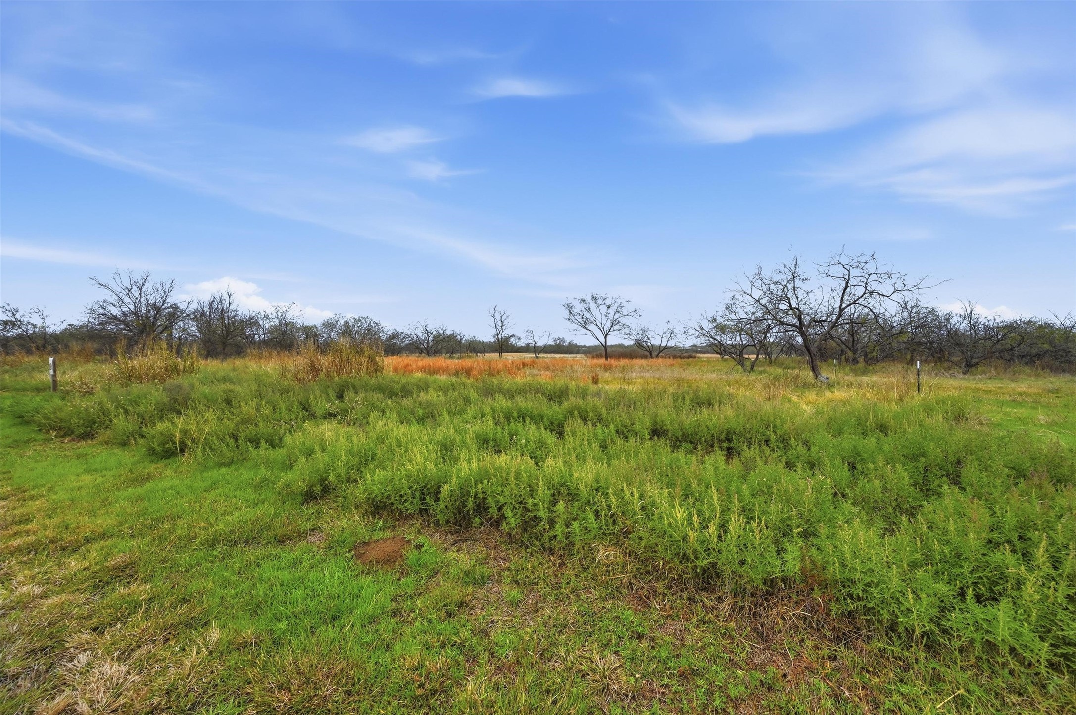 99 Pisgah Crossing Corsicana TX 75109