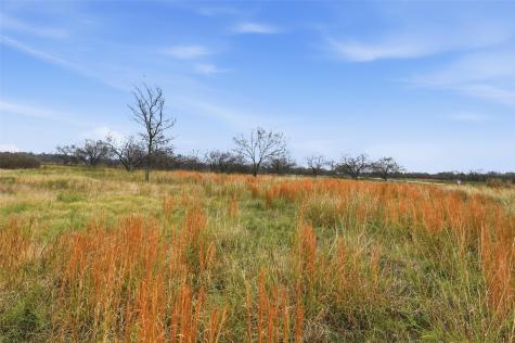 99 Pisgah Crossing Corsicana TX 75109