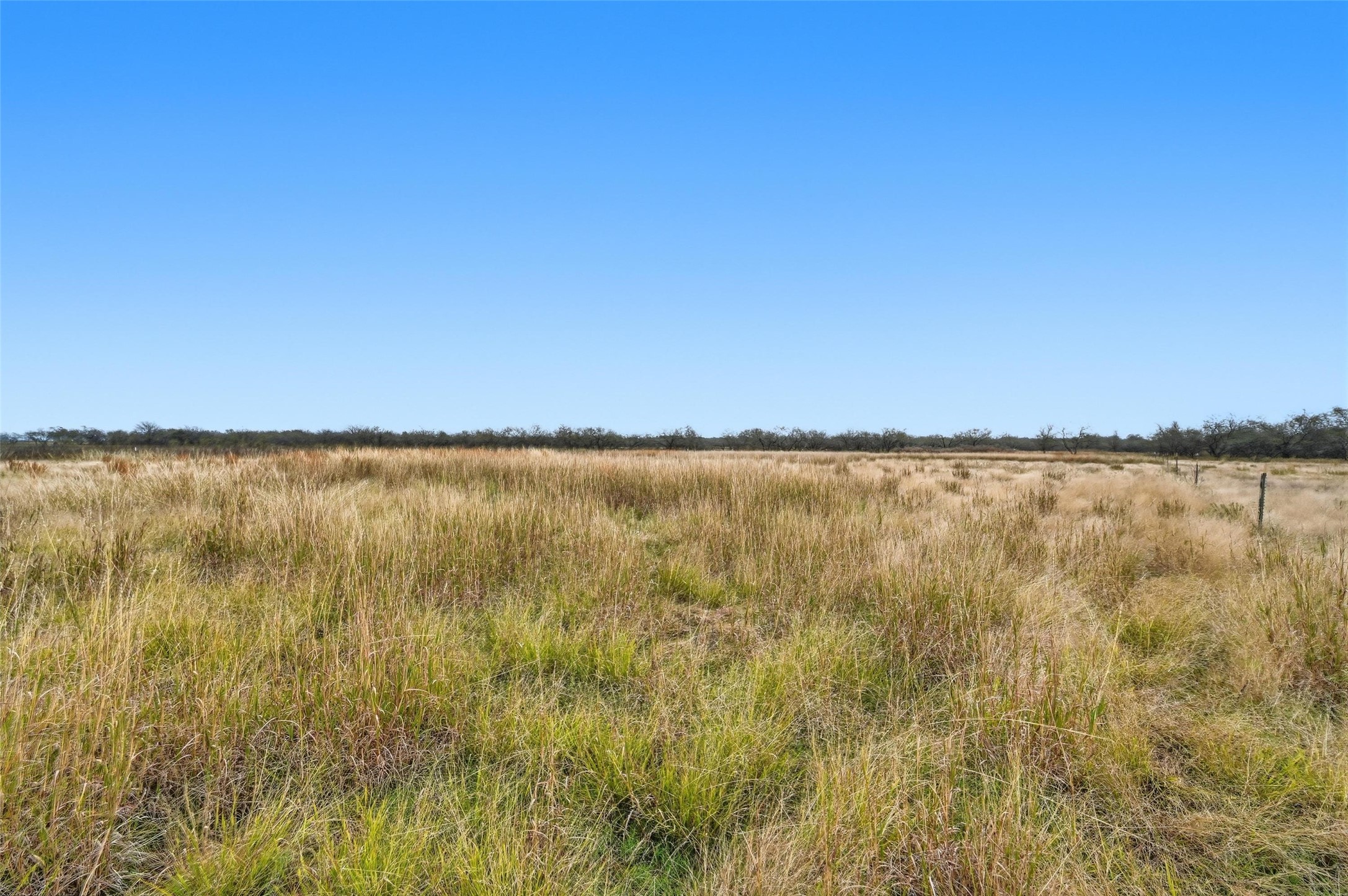 99 Pisgah Crossing Corsicana TX 75109