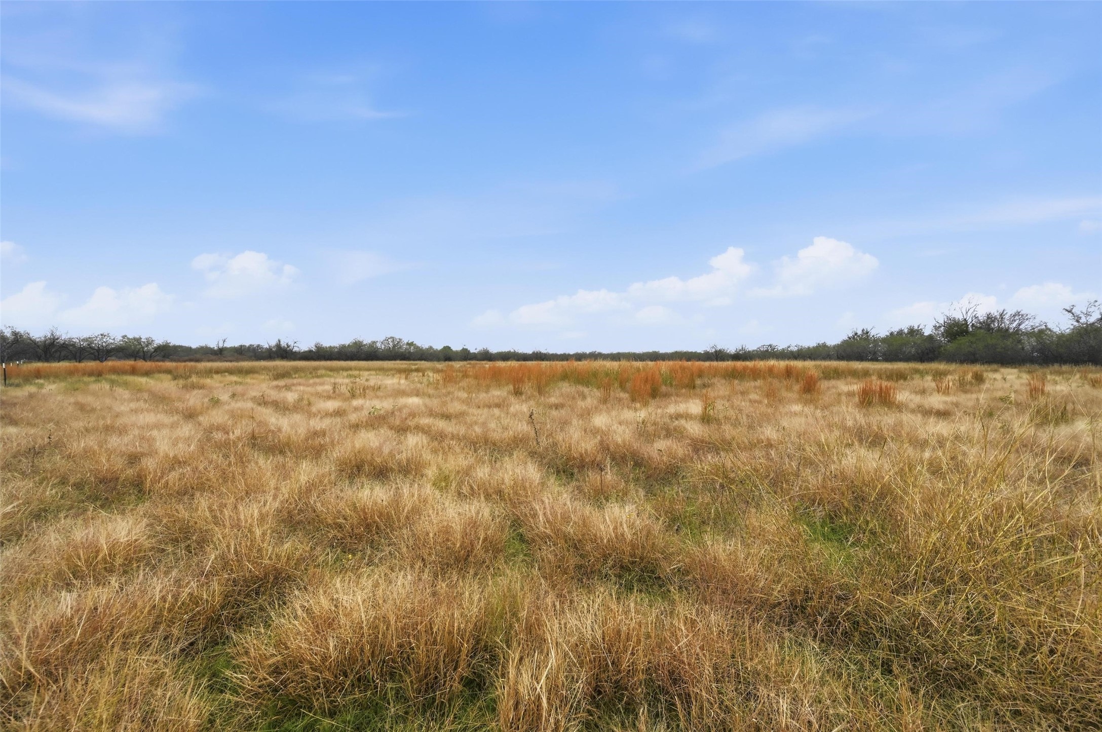 99 Pisgah Crossing Corsicana TX 75109