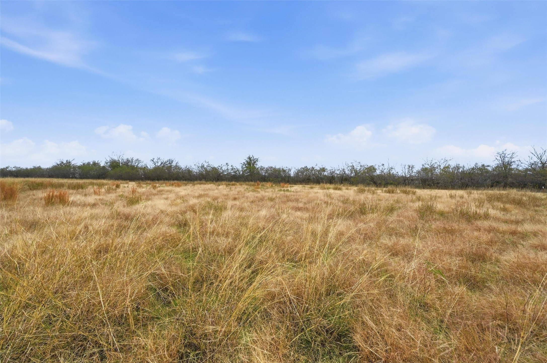 99 Pisgah Crossing Corsicana TX 75109