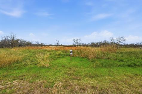 99 Pisgah Crossing Corsicana TX 75109