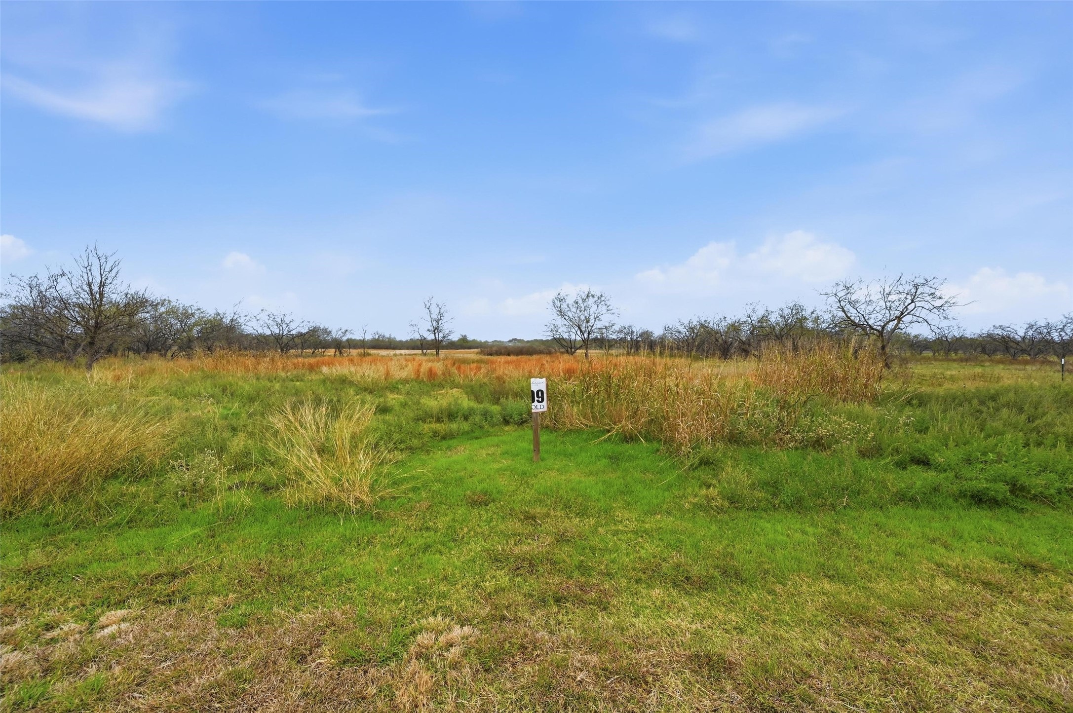 99 Pisgah Crossing Corsicana TX 75109