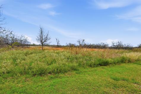 99 Pisgah Crossing Corsicana TX 75109
