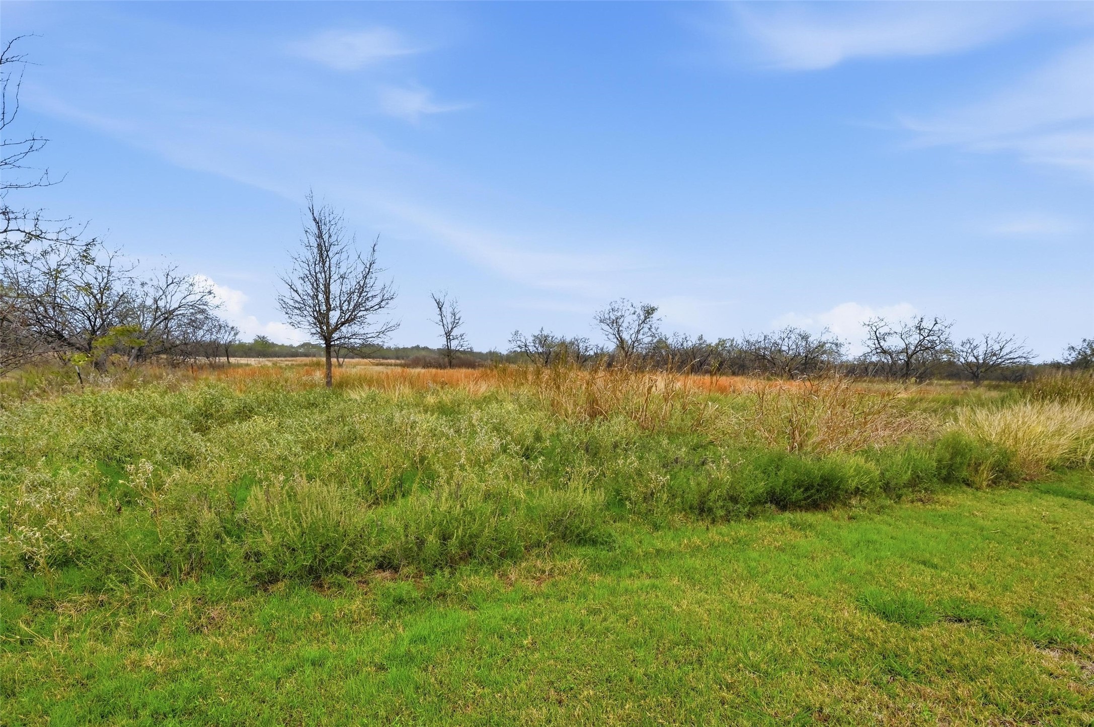 99 Pisgah Crossing Corsicana TX 75109