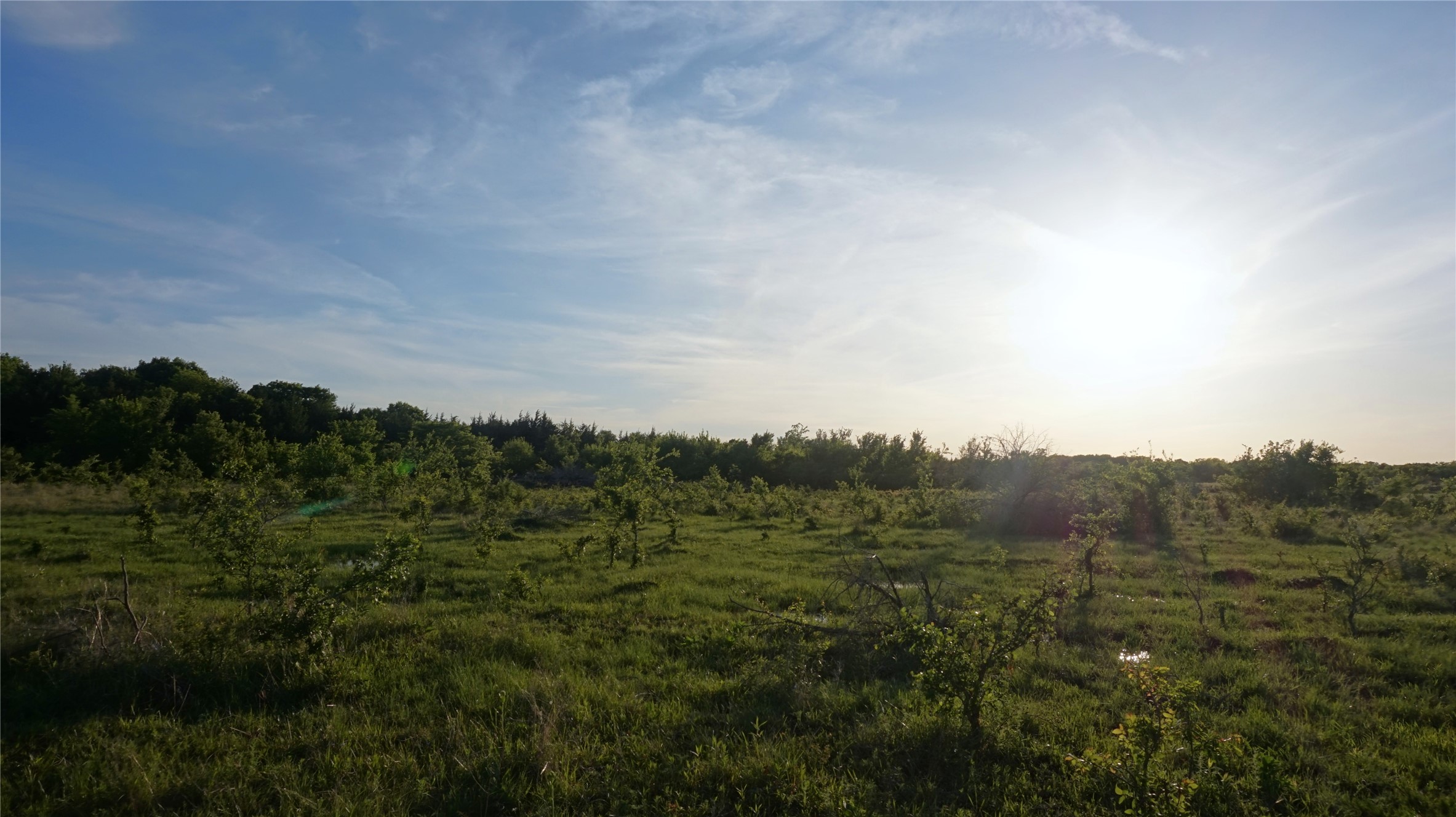 Tbd Lot 4 Adams Road Sherman TX 75090