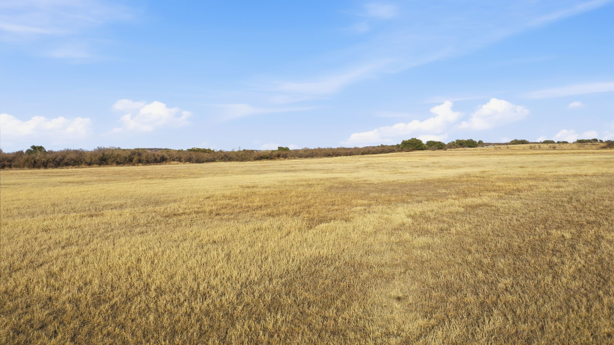 19880 Highway 183 N May TX 76857