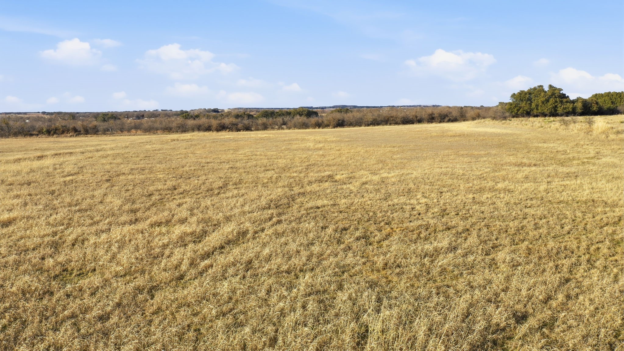 19880 Highway 183 N May TX 76857