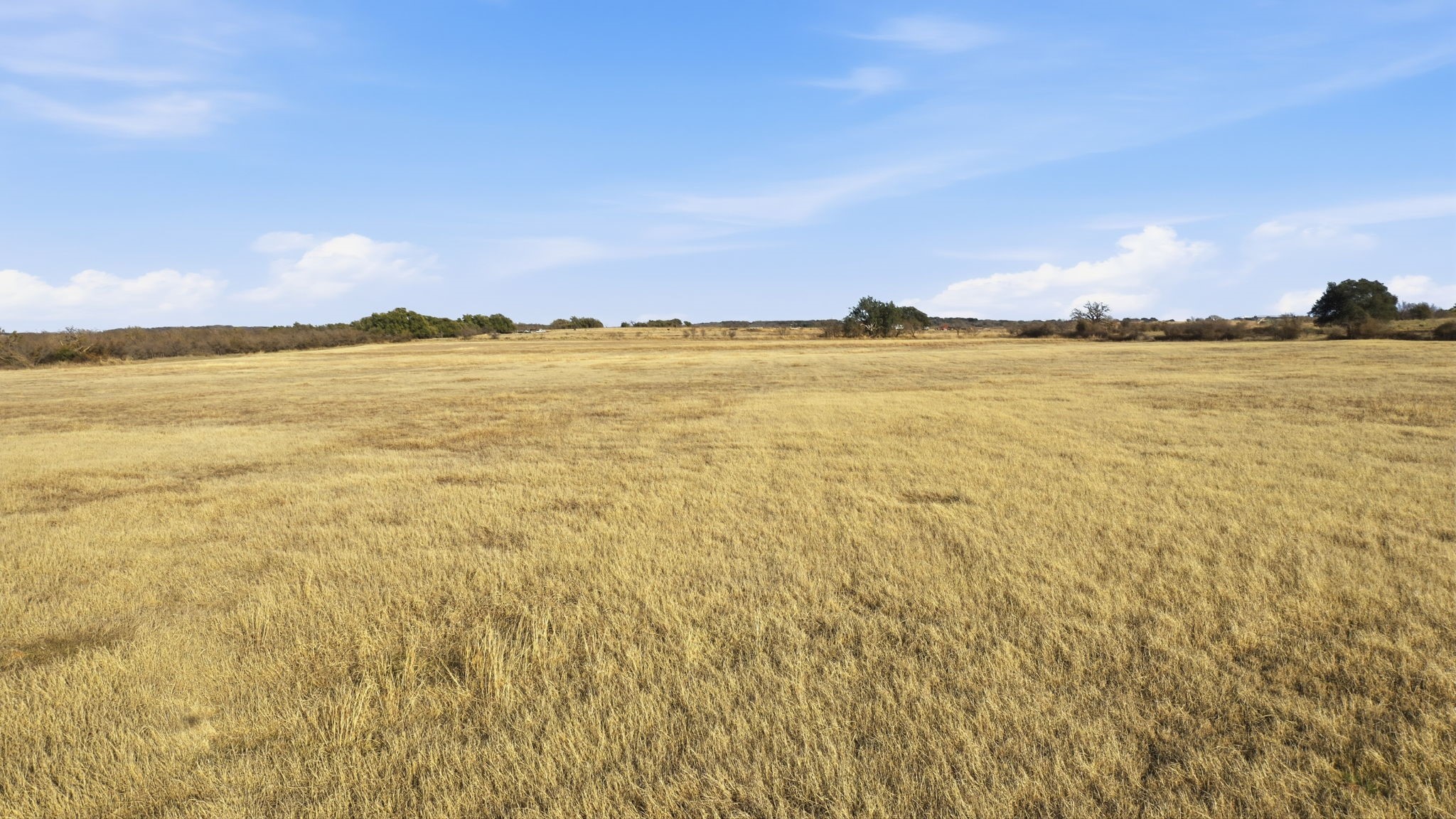 19880 Highway 183 N May TX 76857