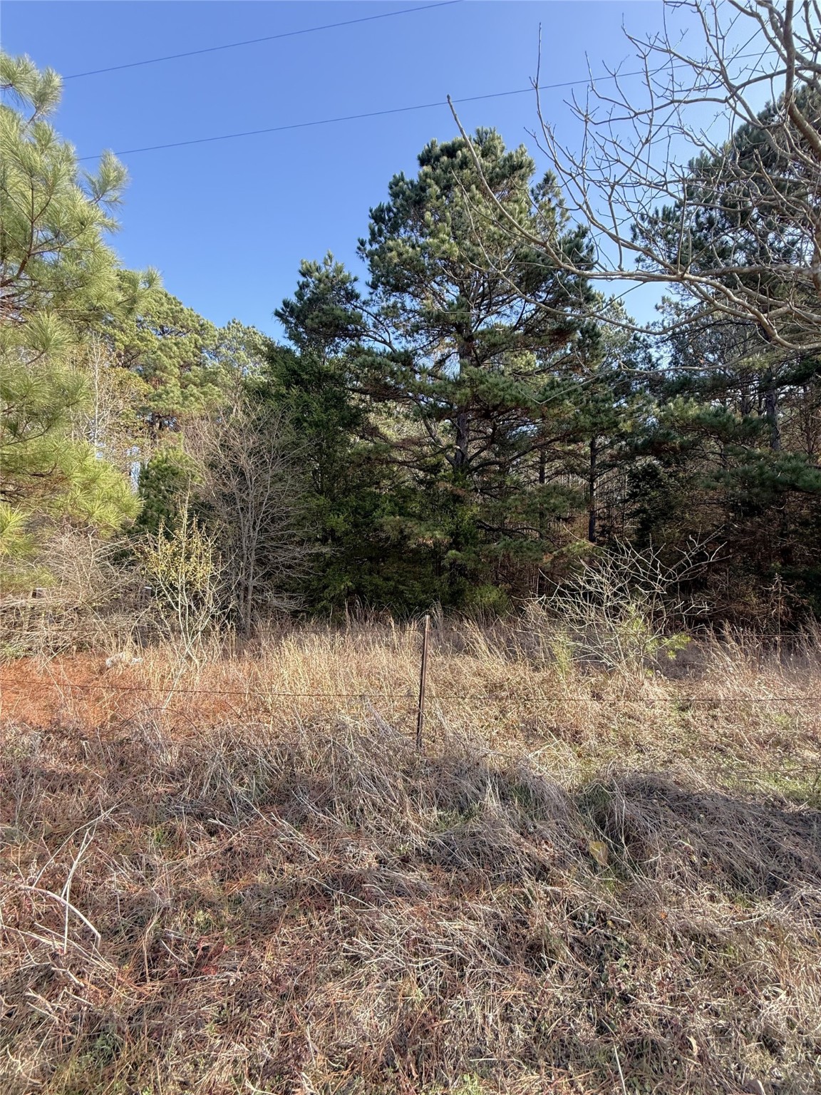 Tbd Fm 2888 Marietta TX 75566