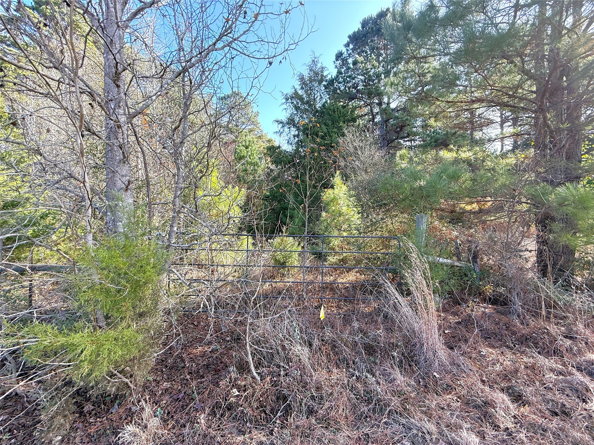 Tbd Fm 2888 Marietta TX 75566