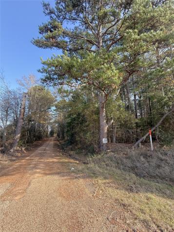 TBD Fm 2888 Marietta TX 75566