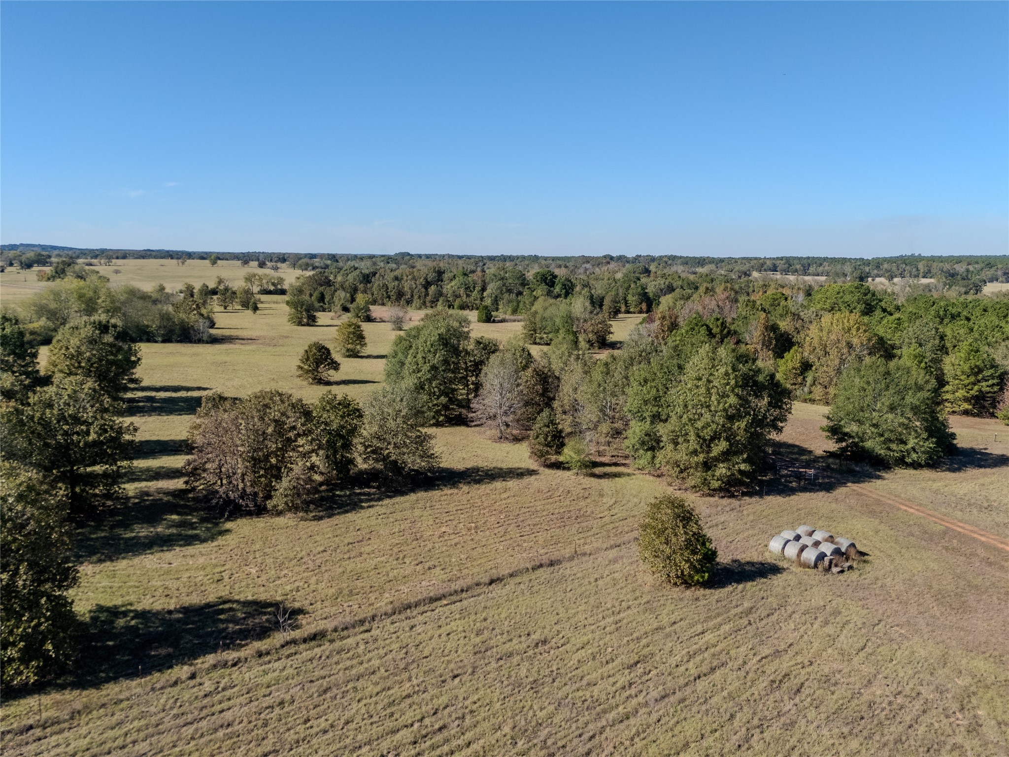 2895 County Road 118 Overton TX 75684