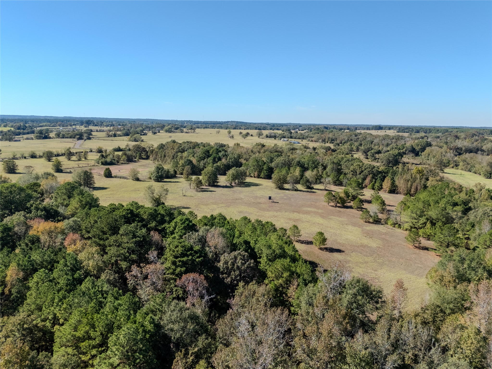 2895 County Road 118 Overton TX 75684