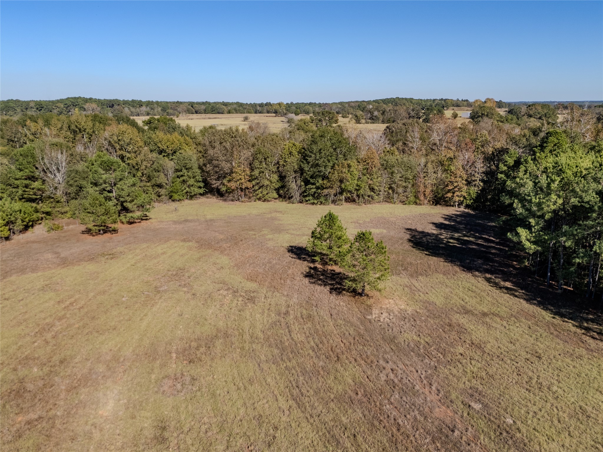 2895 County Road 118 Overton TX 75684