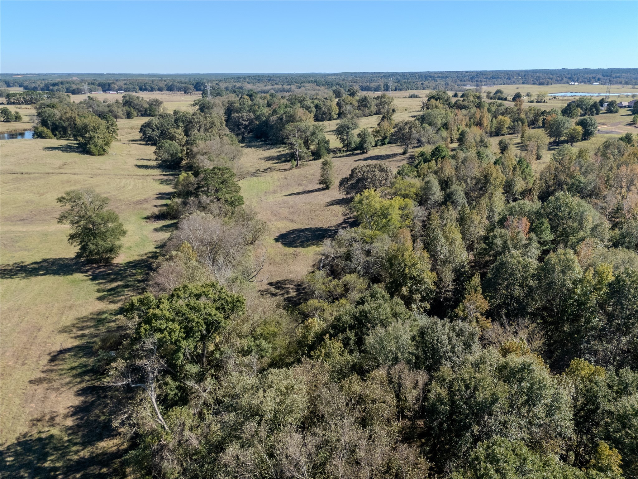 2895 County Road 118 Overton TX 75684