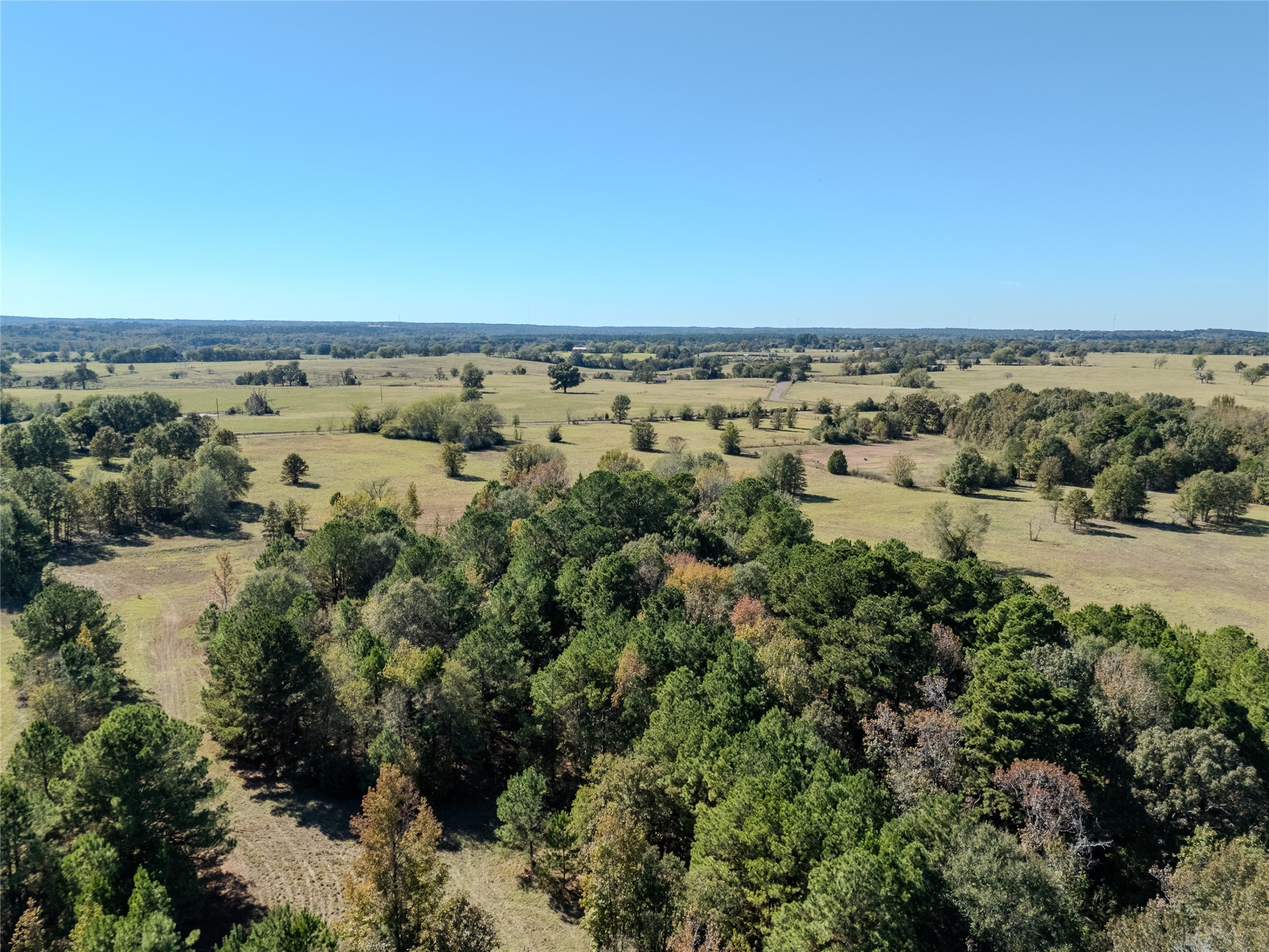 2895 County Road 118 Overton TX 75684