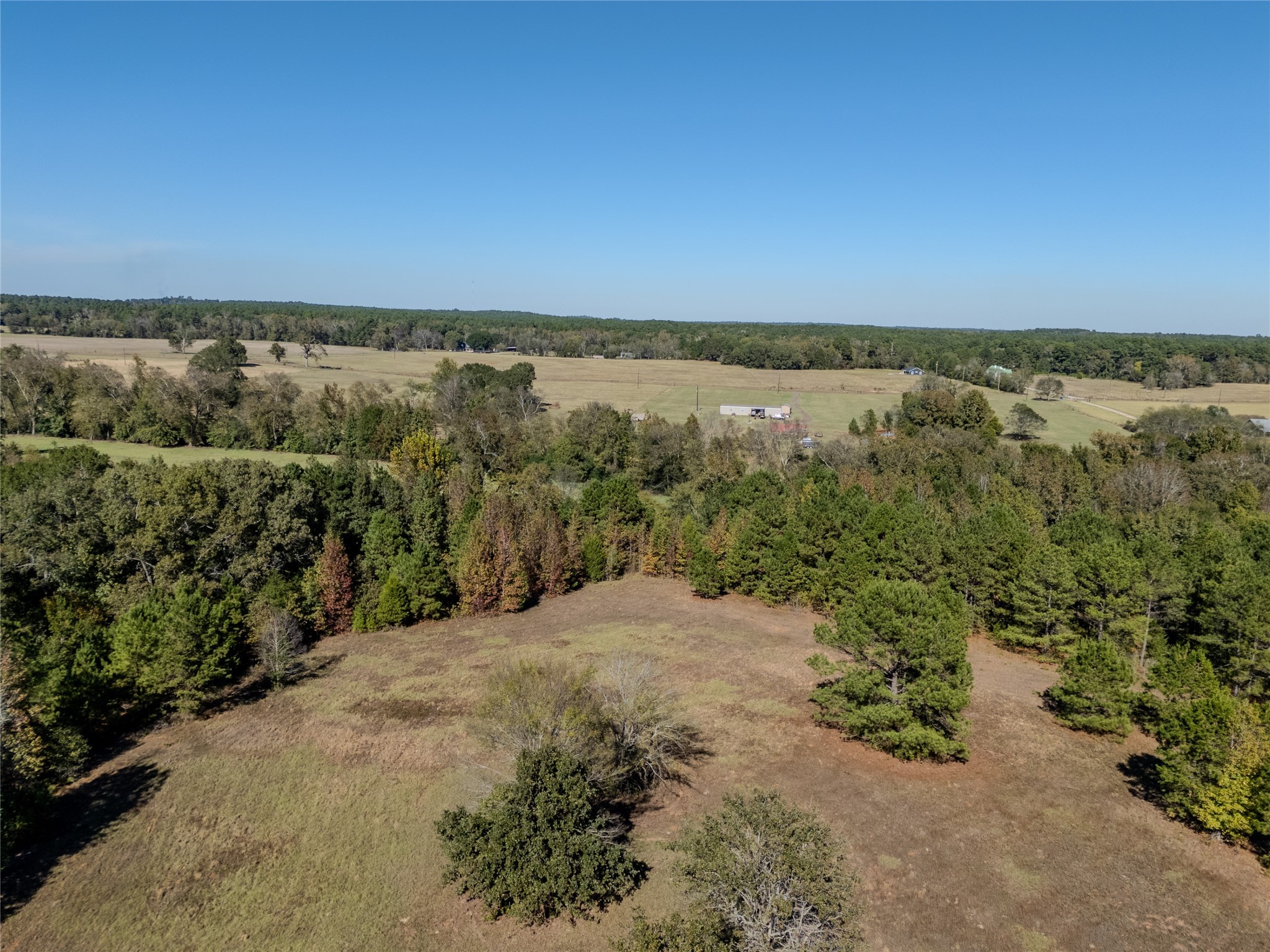 2895 County Road 118 Overton TX 75684