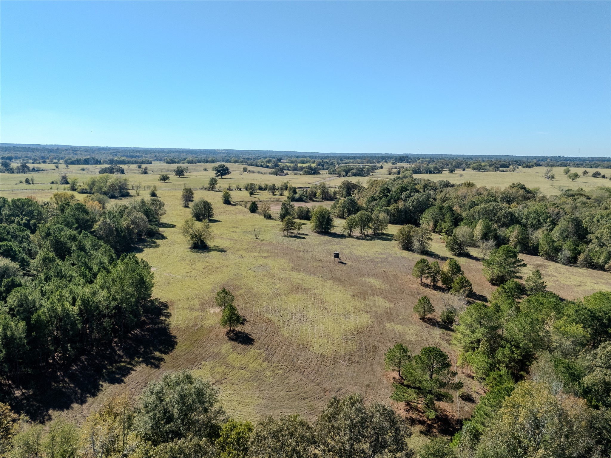 2895 County Road 118 Overton TX 75684