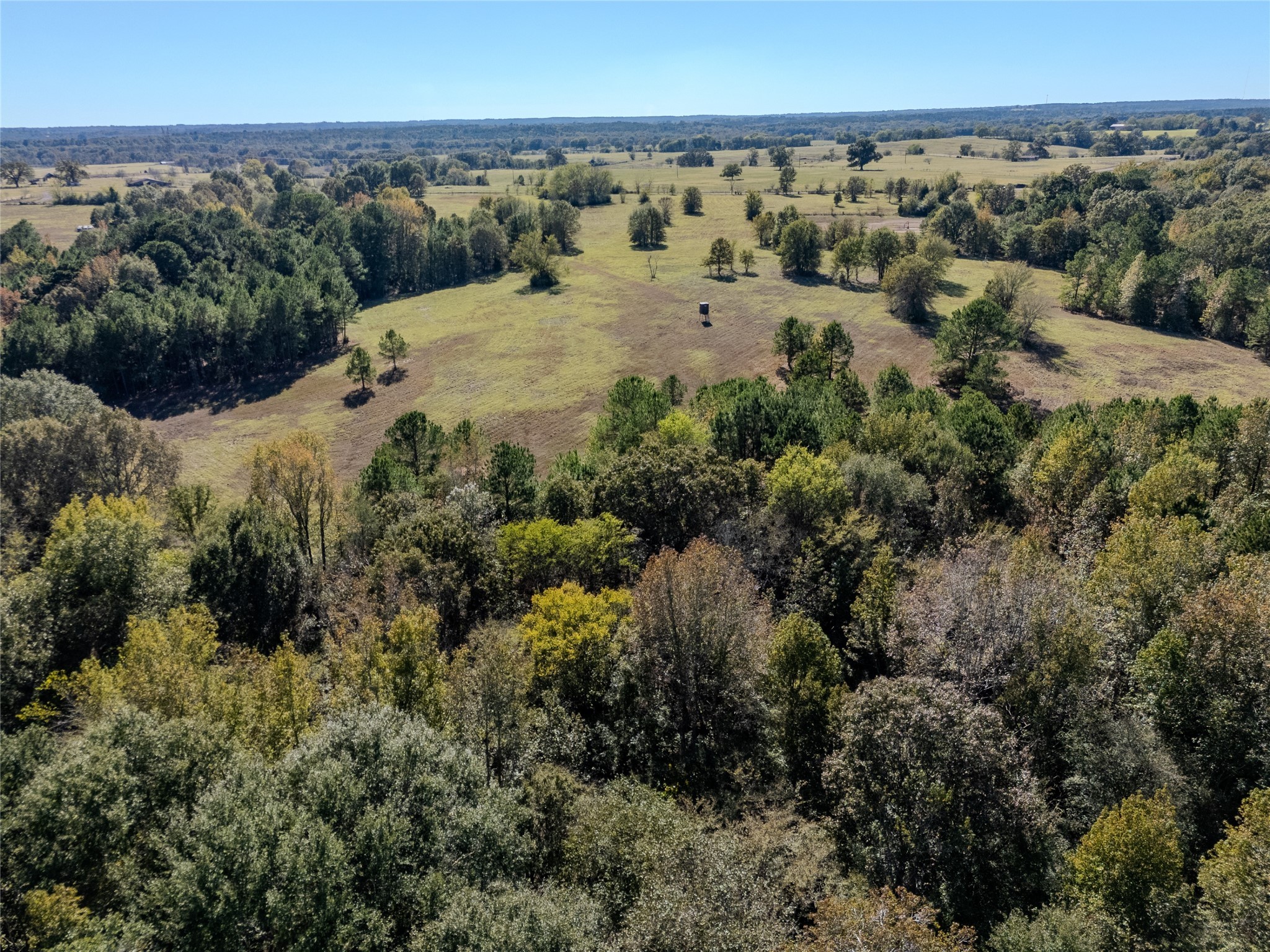 2895 County Road 118 Overton TX 75684