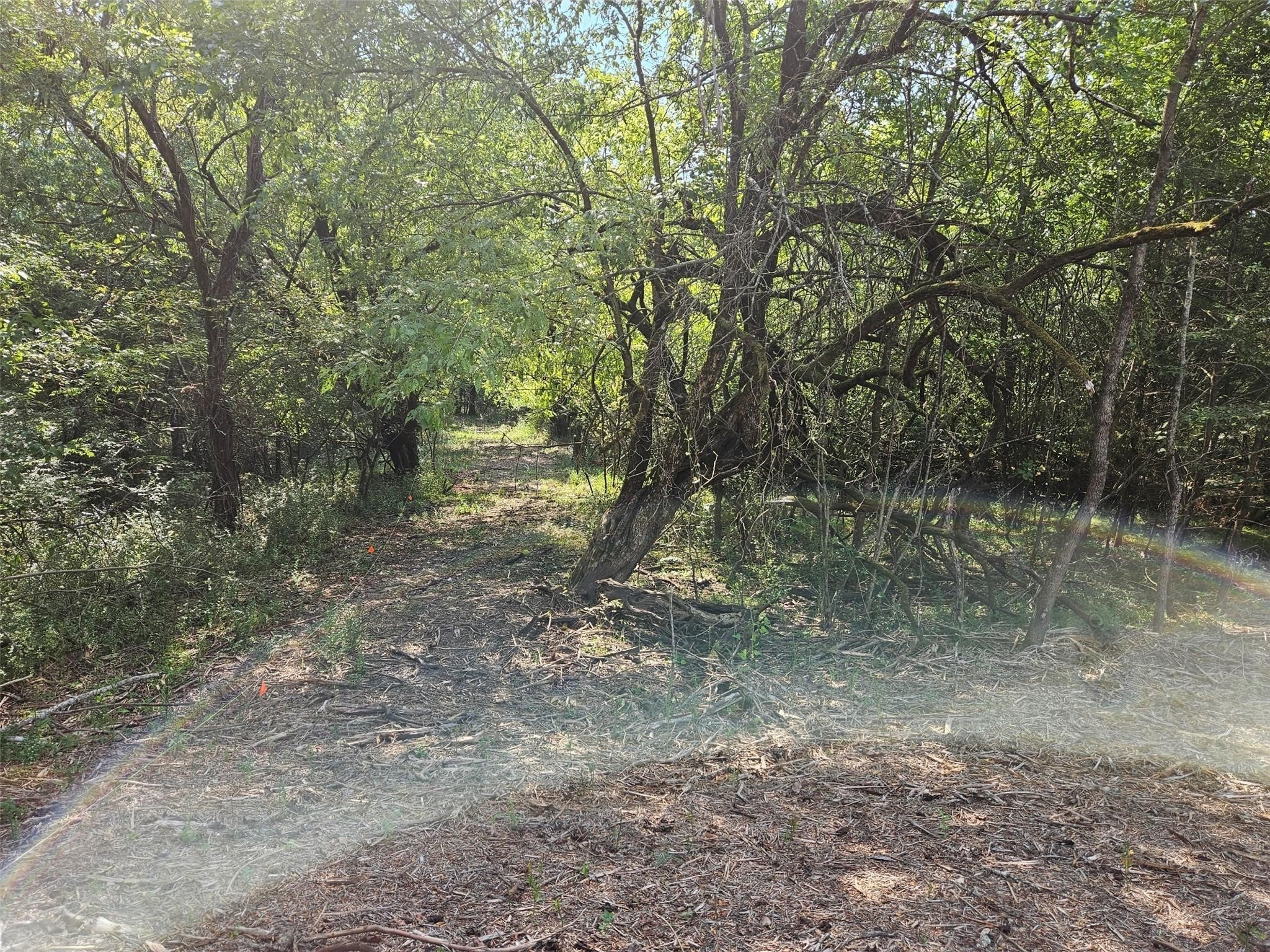 0 Hayfield Court Paris TX 75460