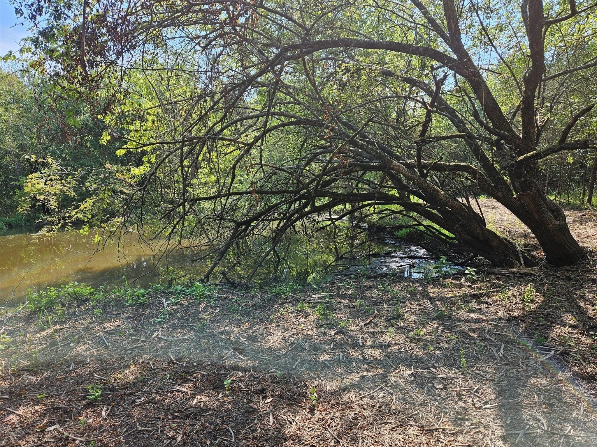 0 Hayfield Court Paris TX 75460