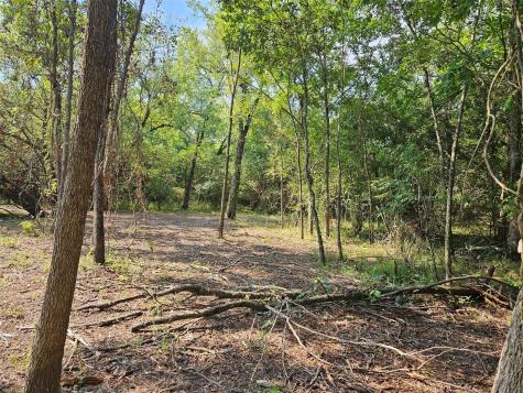0 Hayfield Court Paris TX 75460