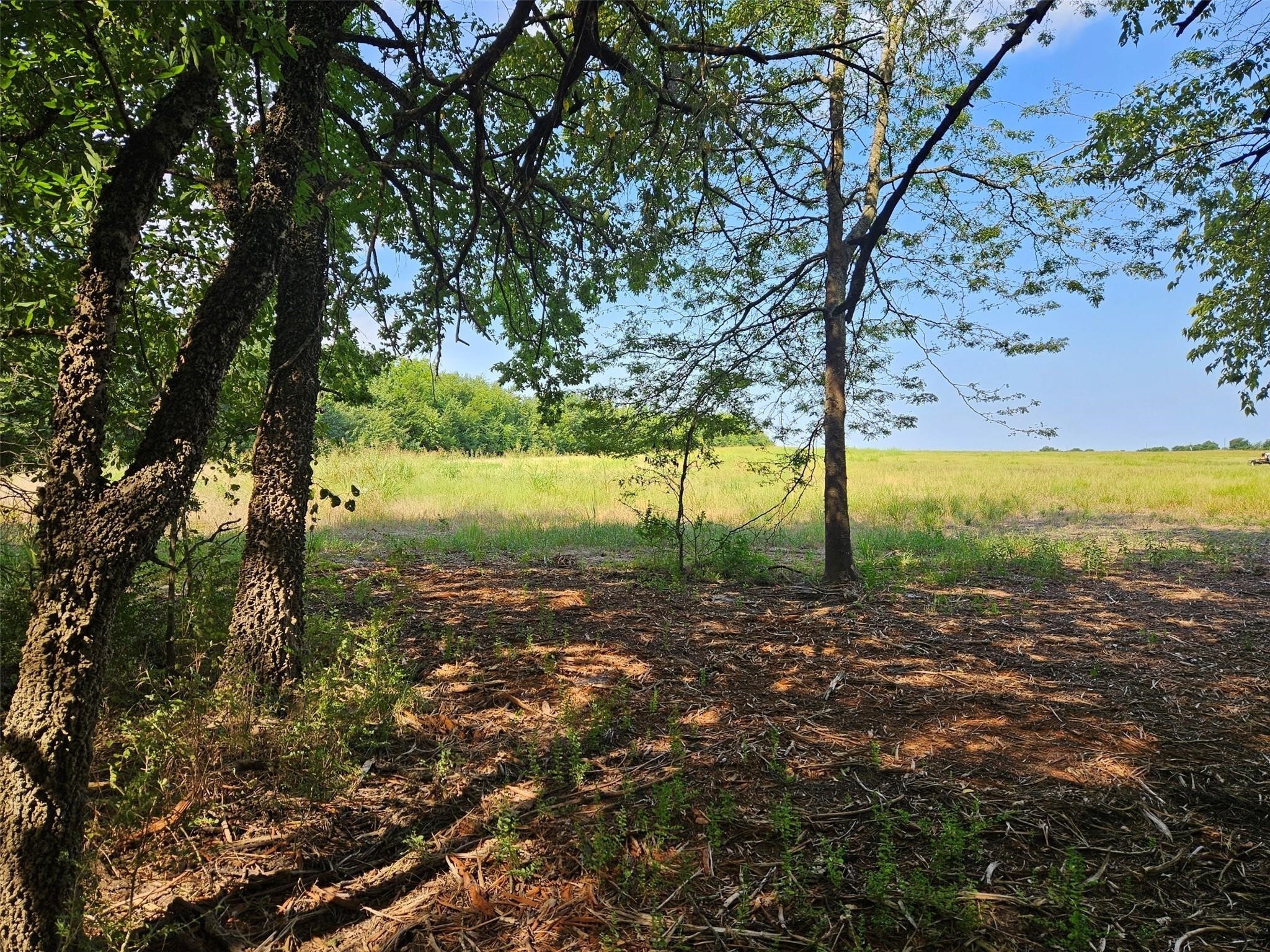 0 Hayfield Court Paris TX 75460