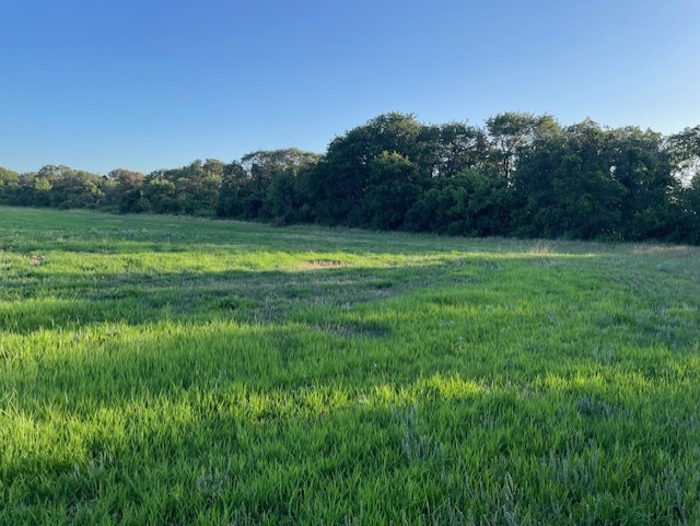 2051 E Fm 583 May TX 76857