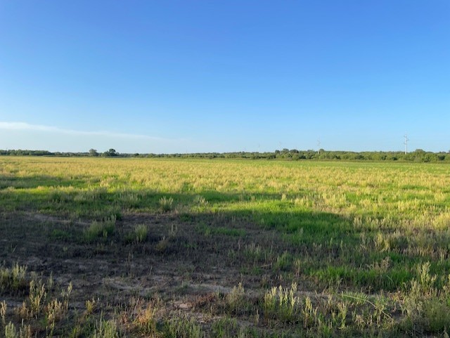 2051 E Fm 583 May TX 76857