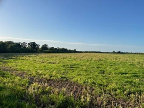 2051 E Fm 583 May TX 76857