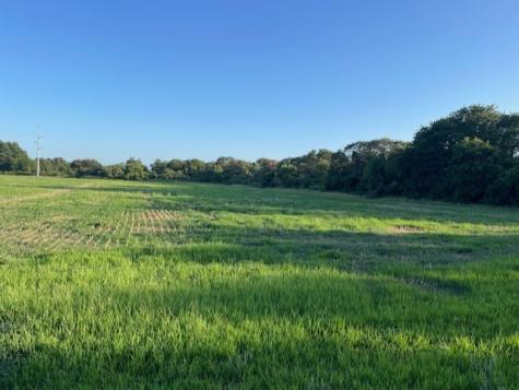 2051 E Fm 583 May TX 76857
