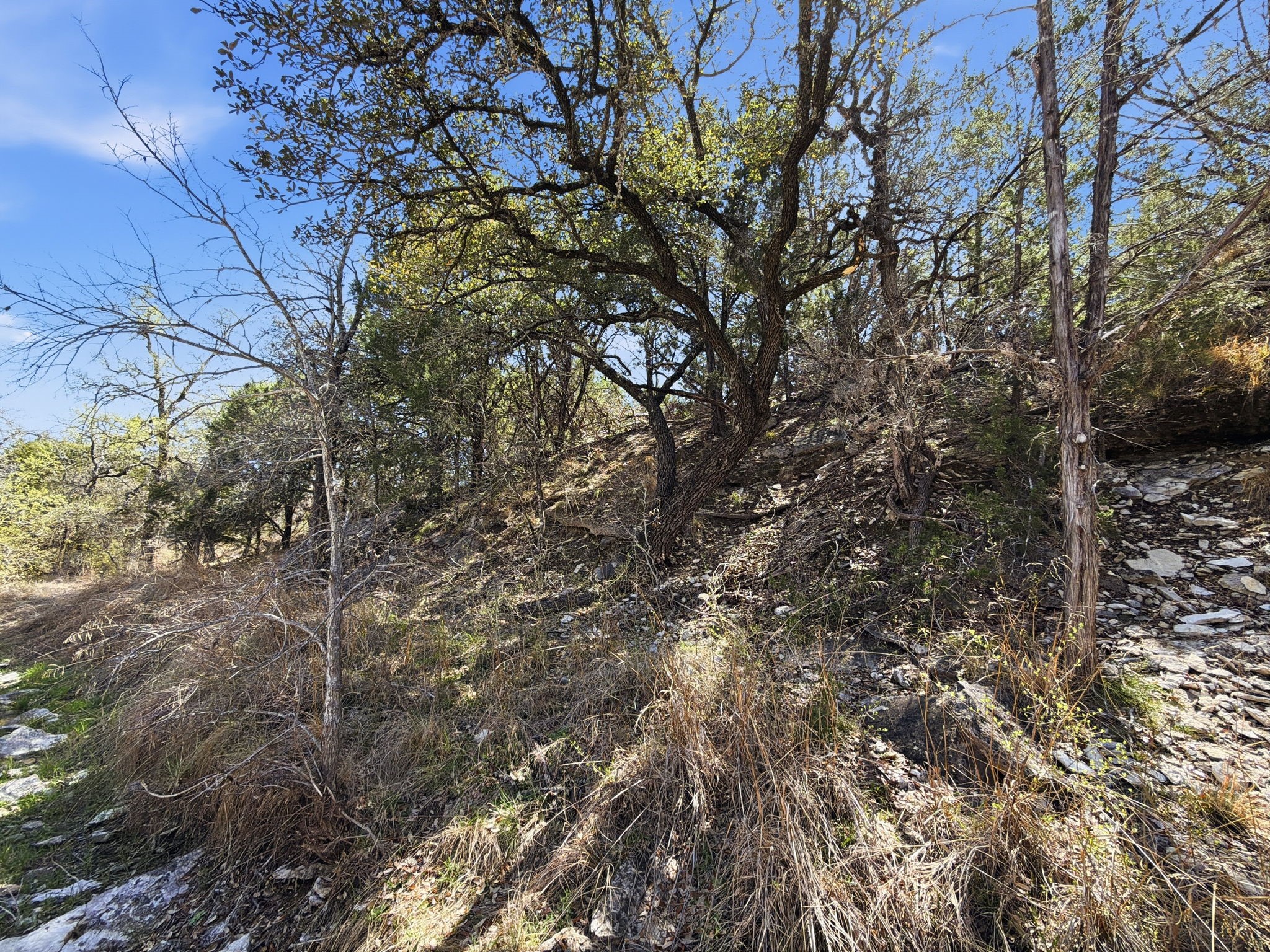 Tbd Pr 2901 #19 Hamilton TX 76531