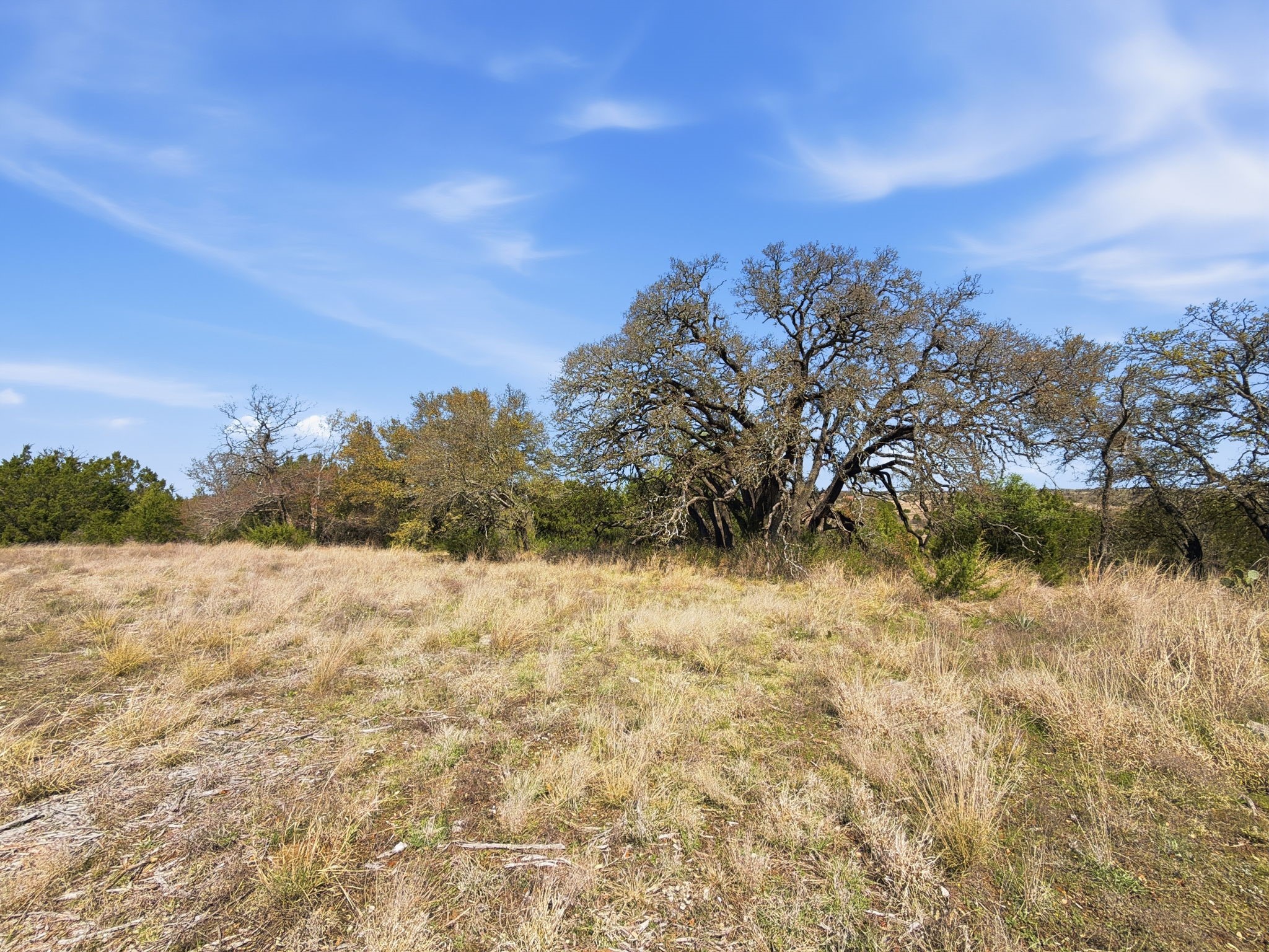 Tbd Pr 2901 #19 Hamilton TX 76531