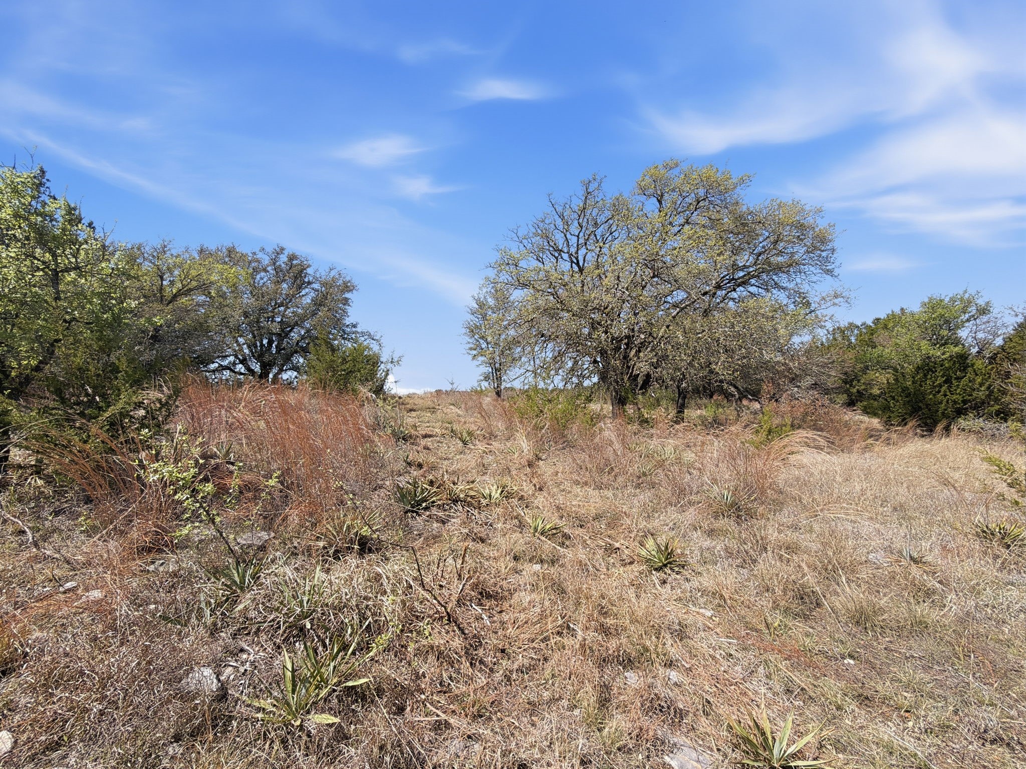 Tbd Pr 2901 #19 Hamilton TX 76531