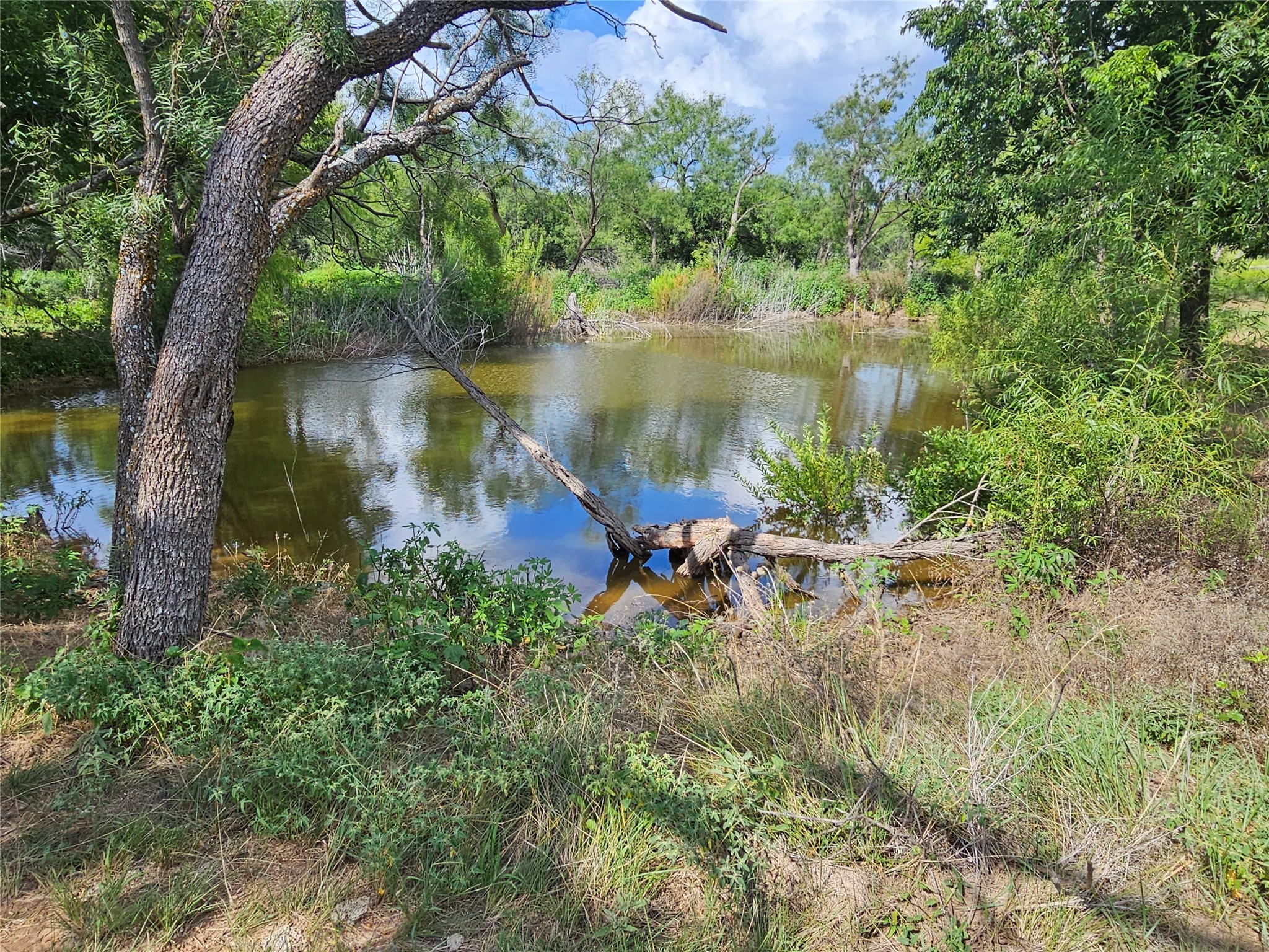 6685 Interstate 20 Ranger TX 76470