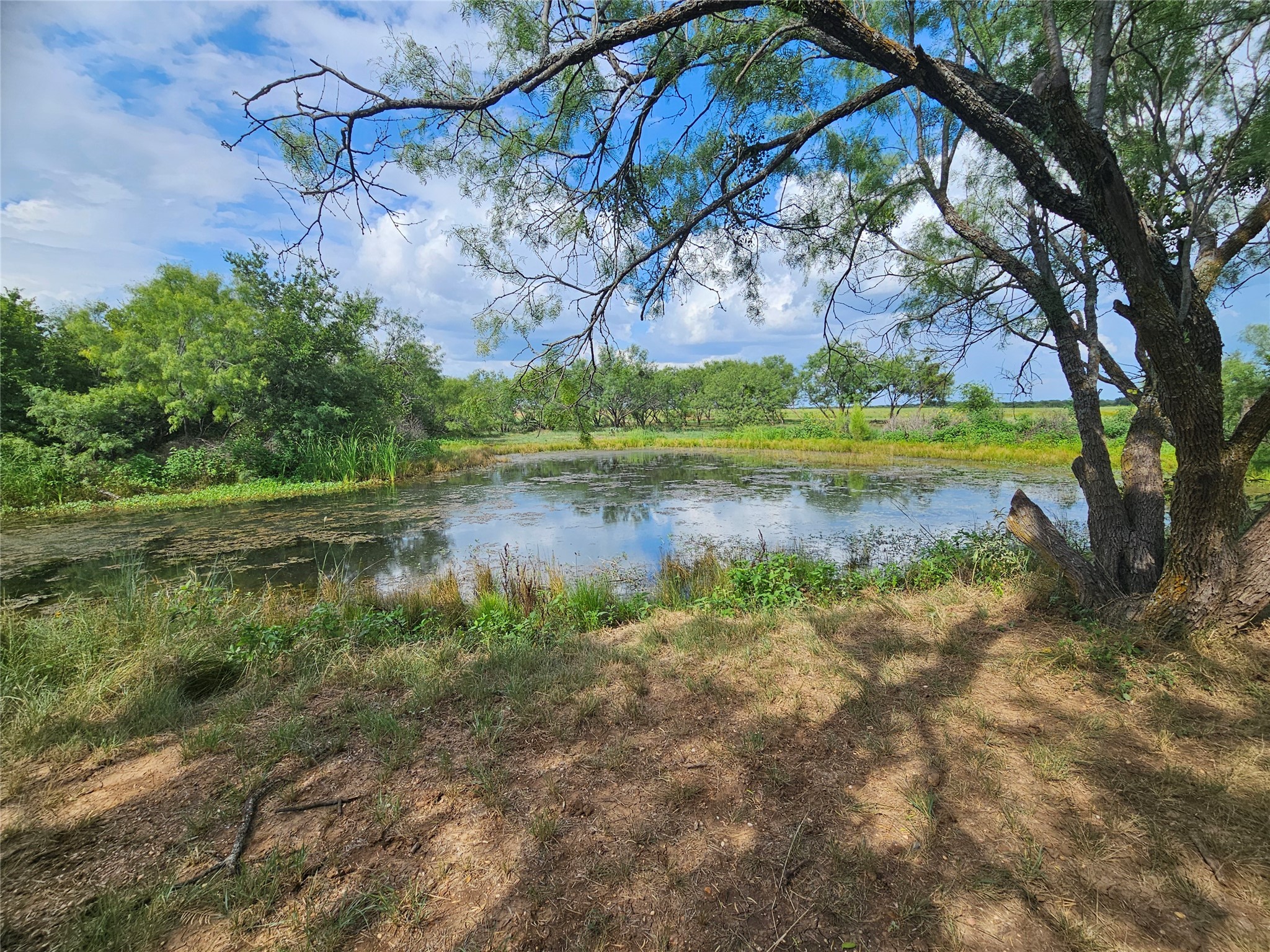6685 Interstate 20 Ranger TX 76470