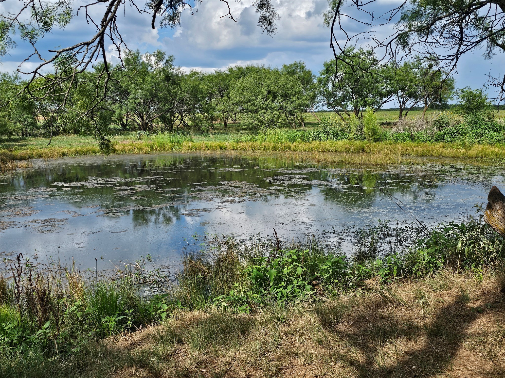 6685 Interstate 20 Ranger TX 76470
